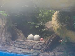 -郑州方特水上乐园