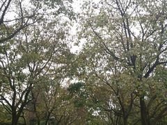 -白塘生态植物园