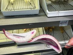 -串门小炉子自助烧烤·小火锅(南京首店)