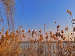 -南湖湿地公园