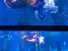 -波塞冬旅游度假区