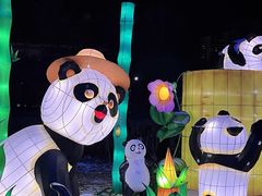 -沈阳奥体冰雪嘉年华