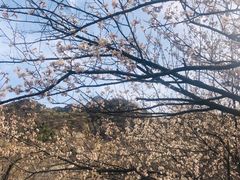 -碓臼峪自然风景区