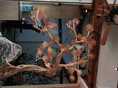 -蜜桃餐厅·伴山(湖滨商业街店)