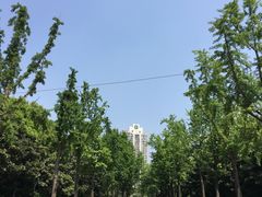 -苏州河梦清园环保主题公园