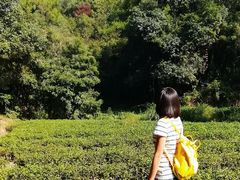 -武夷山风景名胜区-虎啸岩