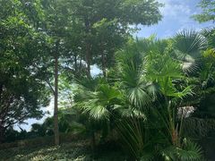 -珠海怡景湾大酒店