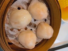 添运来虾饺皇-添运来(茶园奥园广场店)