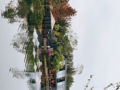 -成飞公园