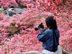 -木兰云雾山