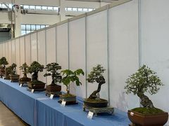 -昆明滇池国际会展中心