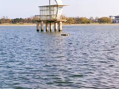 -日照海滨国家森林公园