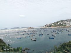 -枸杞岛