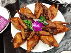 -鸽鸟轩(石岐店)