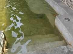 -春晖园度假酒店温泉