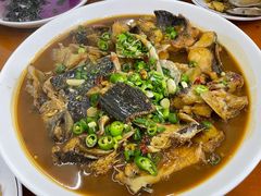 -全乐鱼馆·淳牌有机鱼直营店