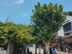 -状元楼(东大街店)
