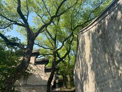 -天一阁博物院