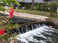 -塞班肯辛顿酒店Kensington Hotel Saipan