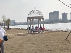 -九龙湖公园
