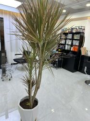 -V7 HAIR SALON
