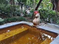 -张家港金凤凰度假村温泉