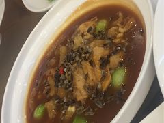 -御龙宴