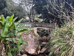 -雁南飞茶田景区