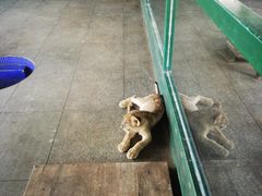 -秦皇岛野生动物园