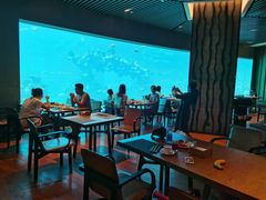 -海棠湾洲际-涛·海底餐厅·美人鱼·自助餐·海底隧道