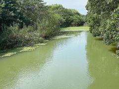 -同里国家湿地公园