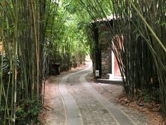 -三特浪口温泉精品酒店
