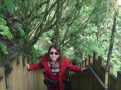 -怀托摩萤火虫洞