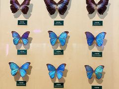 -陕西自然博物馆