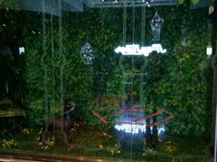 -五月花(朝阳南大街店)