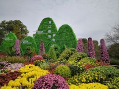 -南山植物园