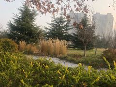 -山东外贸职业学院