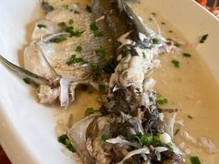 -顺德了能馆(虎门店)