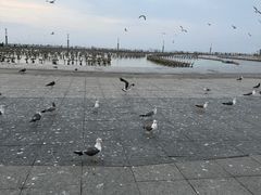-星海广场