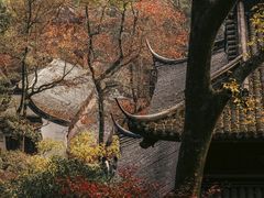 -虎跑公园