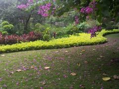 -晓港公园