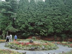 -庐山风景区花径公园