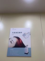 -碧莲盛·不剃发植发