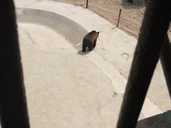 -哈尔滨北方森林动物园