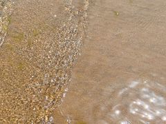 -烟台金沙滩海滨公园