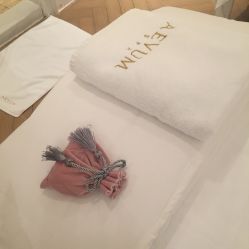 -奥斯芬·欧系贵族SPA