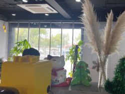 -BabyA 专业婴童摄影(古北时尚广场店)