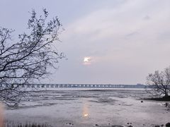 -宝安西湾红树林湿地公园