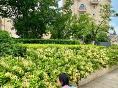 -臻宝中餐厅·大连菜·海鲜·融合菜(大连一方城堡豪华精选酒店)