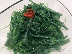 农家丝瓜苗-火齐潮汕砂锅粥(五道口店)